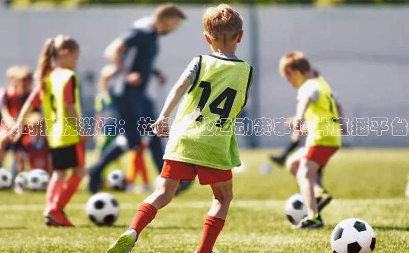 杏悦2平台注册入口