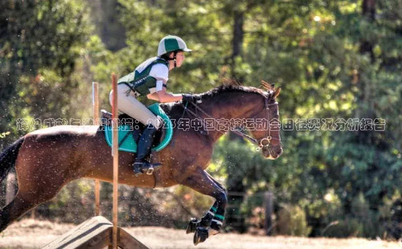 杏悦2平台官网登录