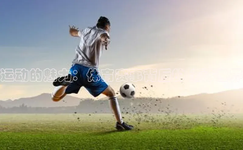 杏悦2平台注册开户