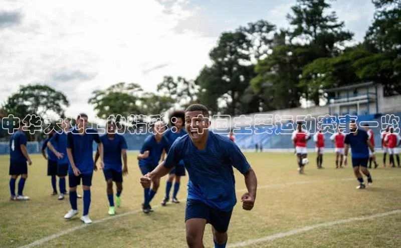 中华大地上的精彩：中国主要运动赛事一览