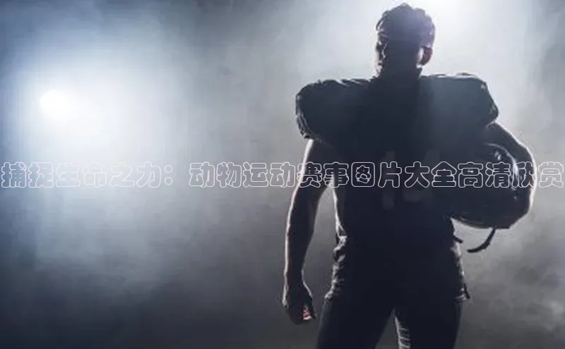 杏悦2定了平台